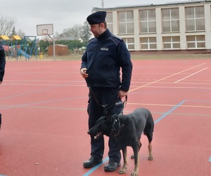 policjant stoi z psem trzymanym na smyczy