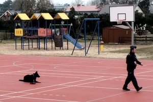 policyjny przewodnik w trakcie treningu z psem